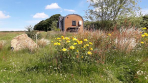 Rowan - Luxury glamping pod Laneast Cornwall